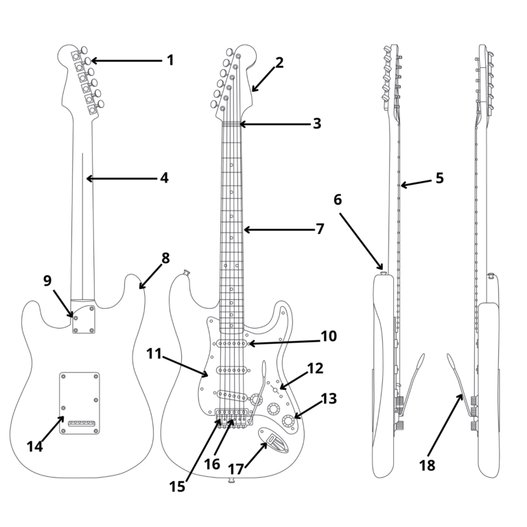 Understanding the Anatomy of Your Guitar- A Visual Overview